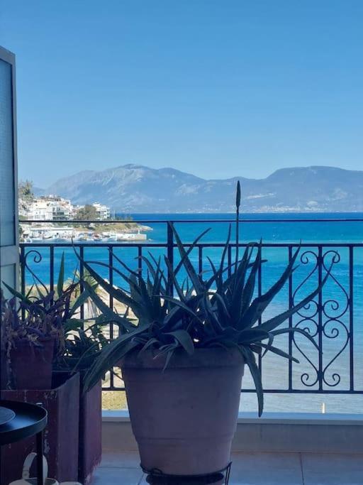 Bright Central Apartment With Splendid Sea View! Chalkida Luaran gambar